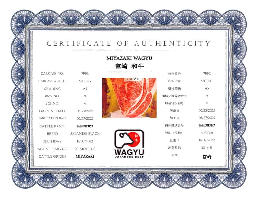 Certificate of Authenticity 2025.05